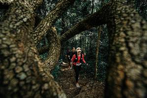 BIB: 
                            <button type="button" onclick="openModal(25702337)" class="btn btn-primary btn-sm float-right btn-popup" data-toggle="modal" data-target=".modal-high-quality">
                        <i class="fas fa-shopping-cart"></i> Add to Cart
                    </button>
                                            <button type="button" onclick="isThisMe(25702337, true)" class="btn btn-success btn-sm float-right btn-popup btn-isme hidden" data-toggle="tooltip" data-placement="bottom" title="นี่คือรูปของคุณใช่ไหม คลิกที่นี่เพื่อเอาเข้าอัลบั้ม">
                        <i class="fas fa-plus"></i> Add to album
                    </button>
                    <button type="button" onclick="isThisMe(25702337, false)" class="btn btn-warning btn-sm float-right btn-popup btn-isnotme hidden">
                        <i class="fas fa-ban"></i> Remove from album
                    </button>